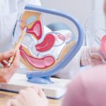 Métodos de preservación de la fertilidad: opciones para cuidar el futuro reproductivo